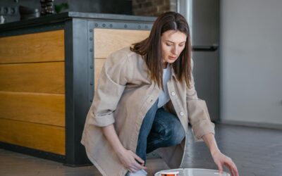 ZAPTEST Is More Than a Tool: It’s Your Enterprise Automation Hub